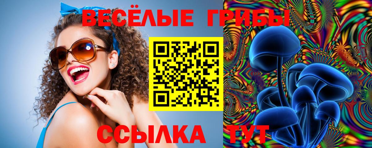 купить наркотик  Галлюциногенные грибы Psilocybine cubensis  Вход с VPN  Псилоцибиновые грибы GOLDEN TEACHER  Нальчик 