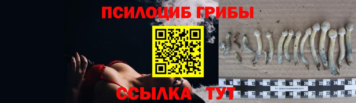 Галлюциногенные грибы MAGIC MUSHROOMS Нальчик